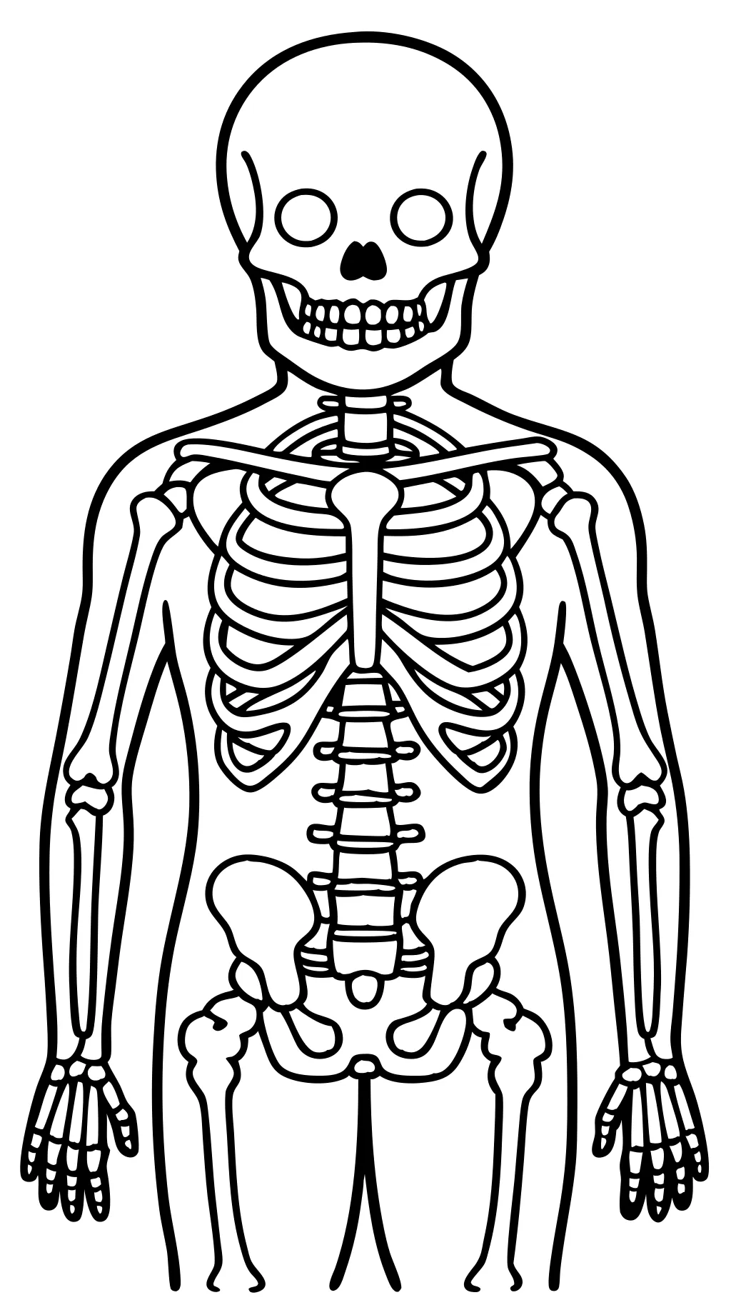 Páginas para colorear de anatomía gratis